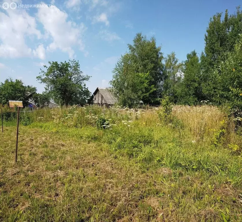 Участок в Дмитровский городской округ, деревня Плетенево (10 м) - Фото 0