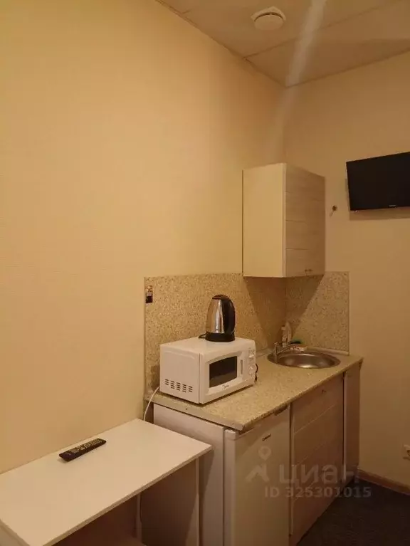 Студия Санкт-Петербург Лермонтовский просп., 10/53 (23.0 м) - Фото 1