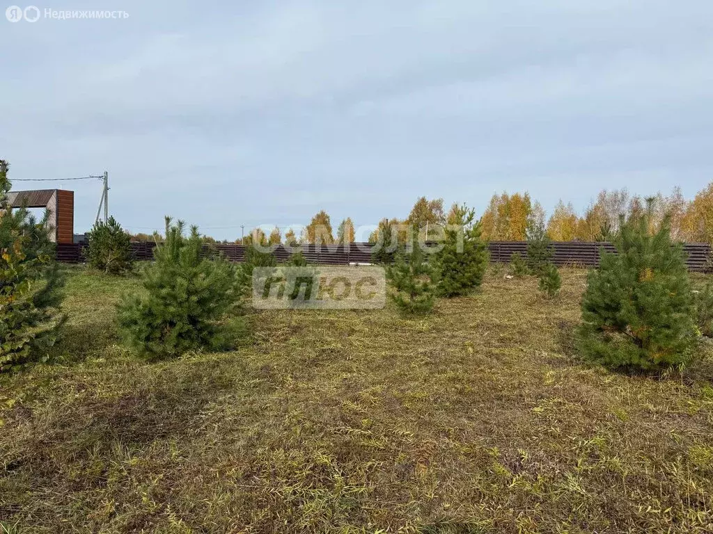 Участок в Удмуртская Республика, Ижевск (10 м) - Фото 1