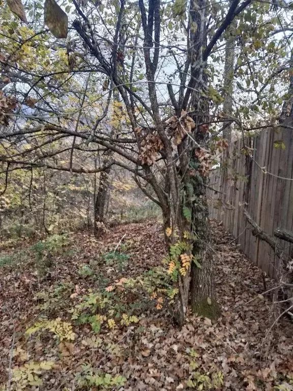 Участок в Крым, Алушта муниципальный округ, с. Изобильное ул. ... - Фото 2