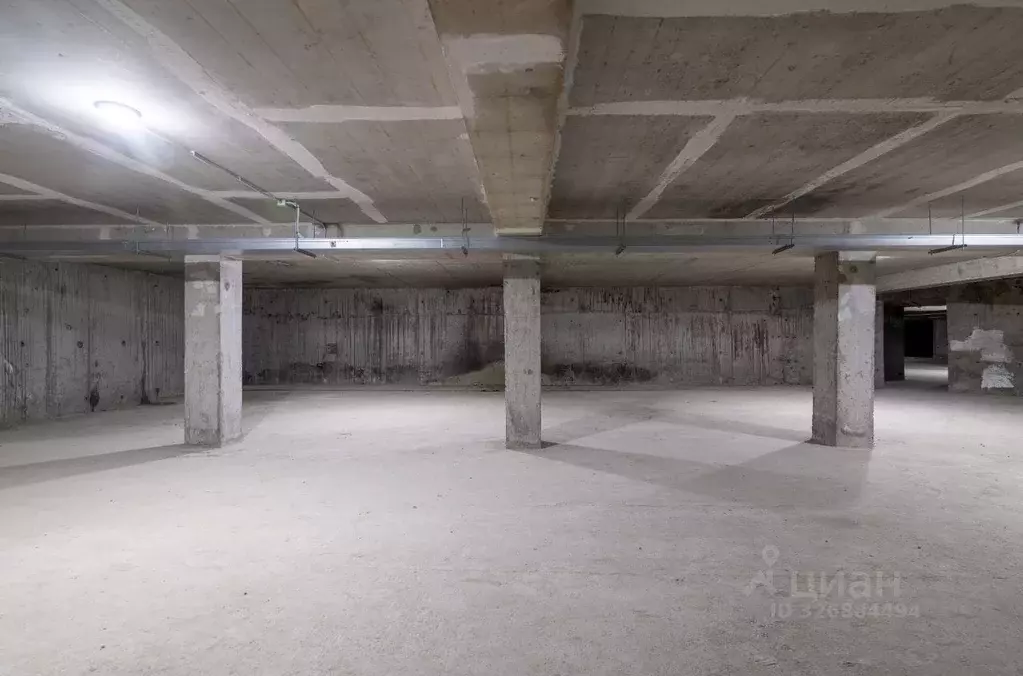 Помещение свободного назначения в Санкт-Петербург, Санкт-Петербург, ... - Фото 2