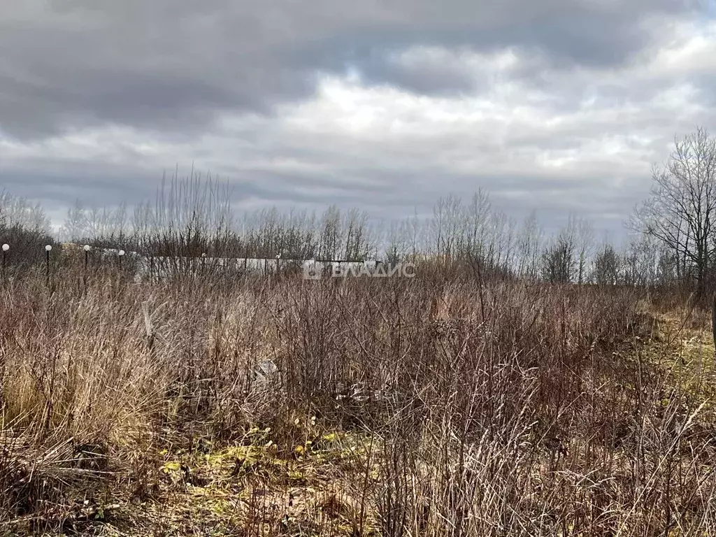 Участок в Владимирская область, Суздальский район, Павловское ... - Фото 1