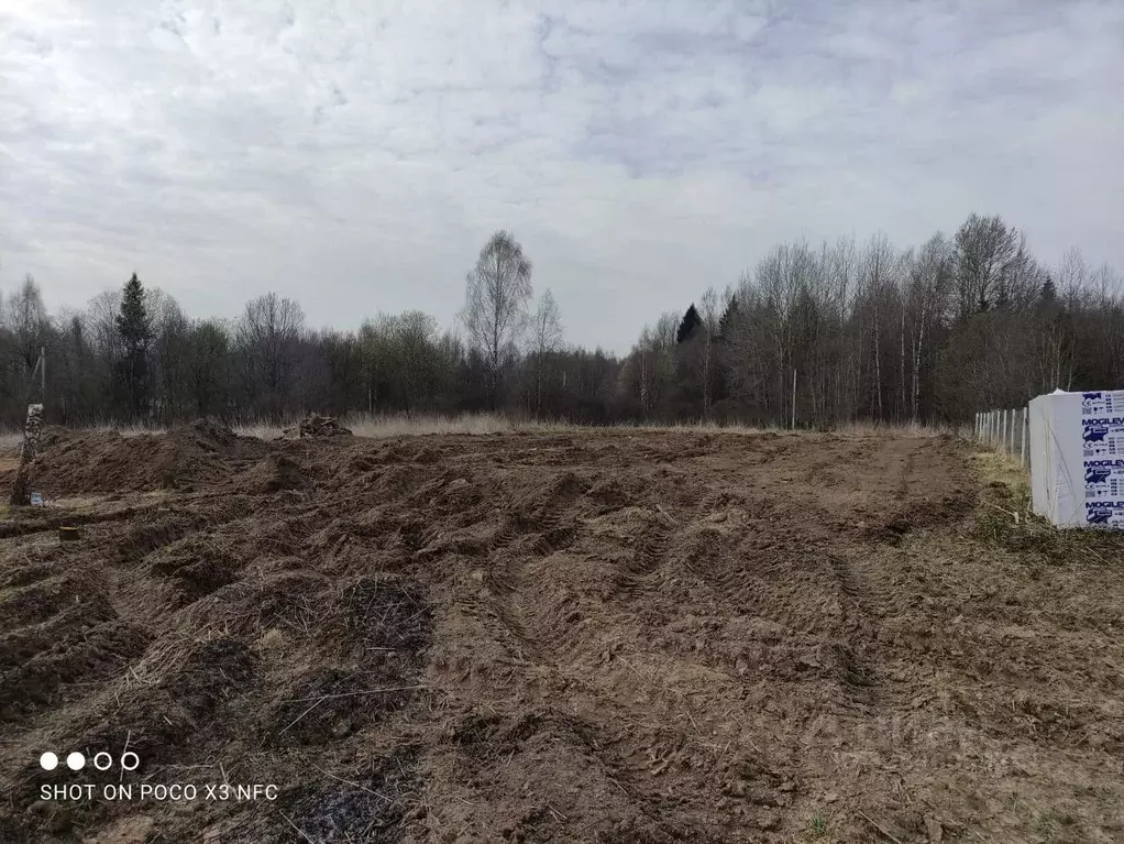 Участок в Смоленская область, Смоленский муниципальный округ, Феникс ... - Фото 1