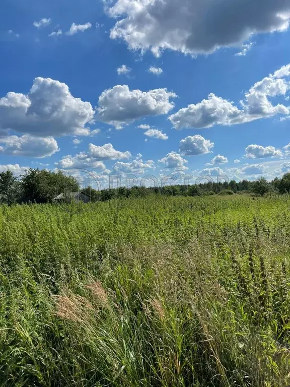 Продается участок в д. Парыкино - Фото 2