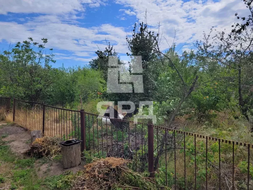 Участок в Ростовская область, Неклиновский район, Поляковское с/пос, ... - Фото 2