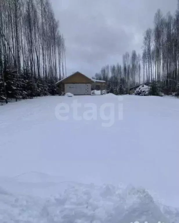 Участок в Московская область, Дмитровский муниципальный округ, д. ... - Фото 1