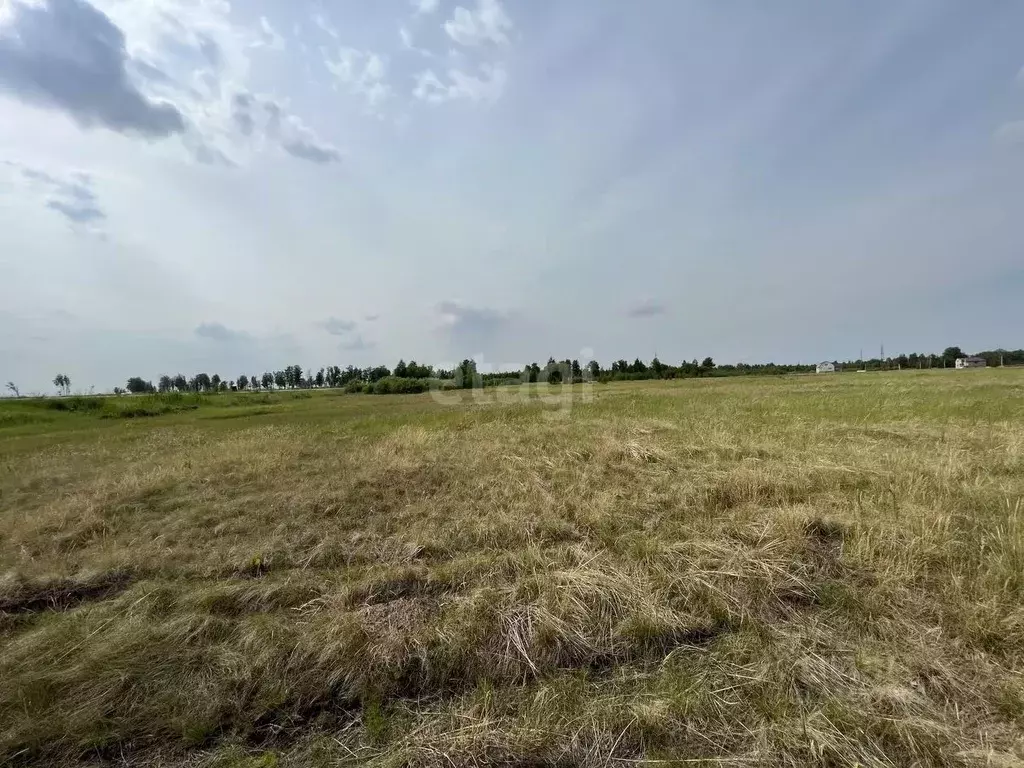 Участок в Челябинская область, Чебаркульский район, с. Травники ул. ... - Фото 0