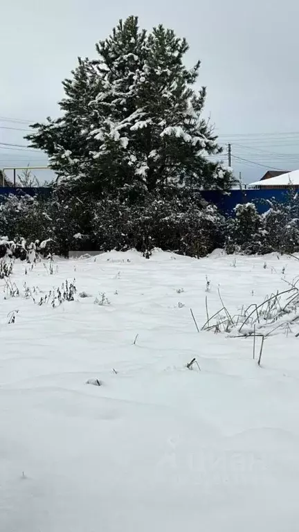 Дом в Новосибирская область, Колывань рп ул. Маяковского, 41 (126 м) - Фото 2