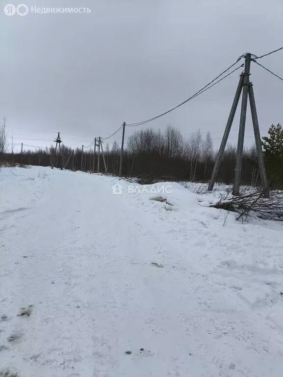 Участок в Нижегородская область, Кстовский муниципальный округ, ... - Фото 0