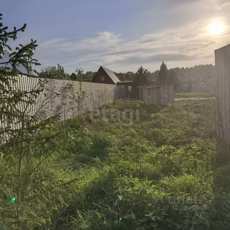 Участок в Новосибирская область, Колывань рп ул. Набережная, 31 (7.2 ... - Фото 1