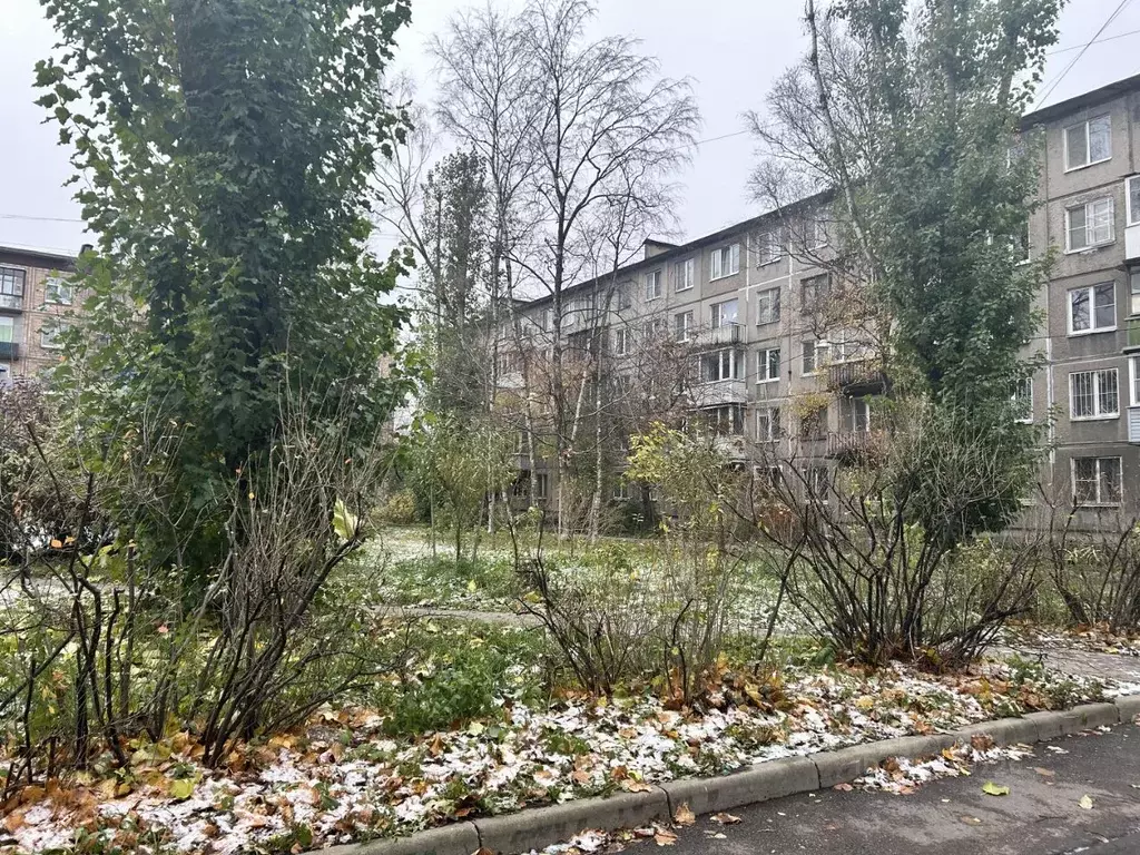 2-к кв. Санкт-Петербург ул. Ольминского, 16 (42.0 м) - Фото 0