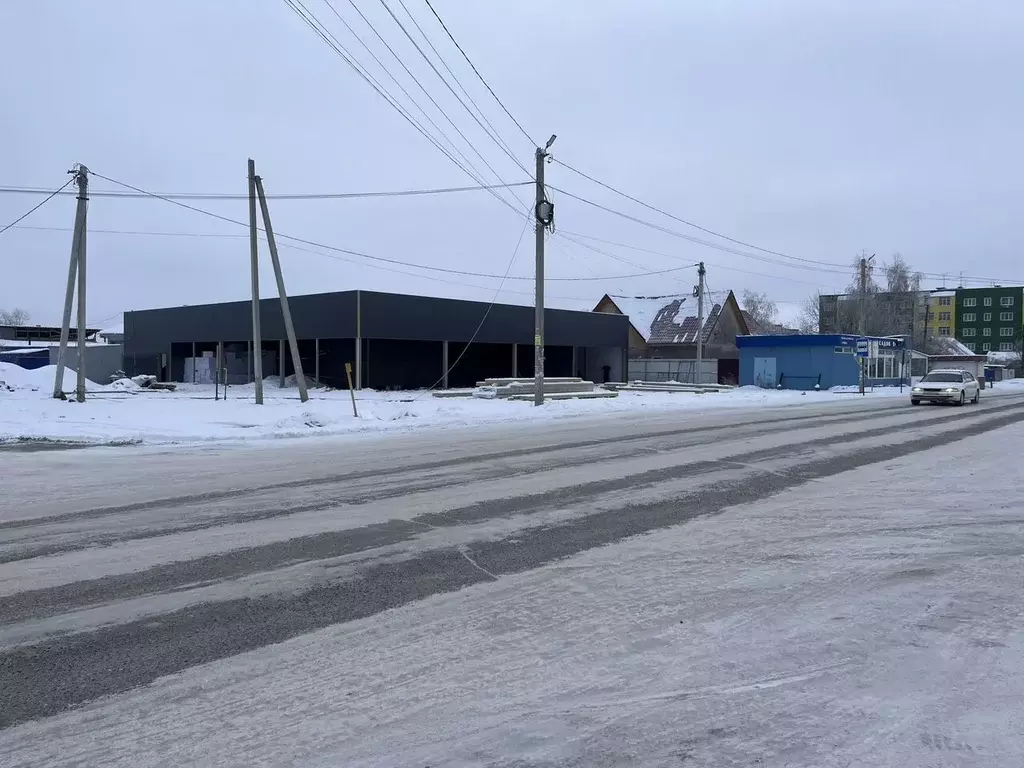 Торговая площадь в Новосибирская область, Новосибирский район, с. ... - Фото 1
