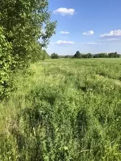 Участок в Брянская область, Брянский район, Глинищевское с/пос, с. ... - Фото 1