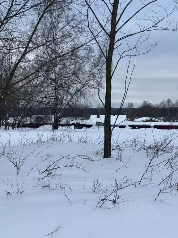 Участок в Московская область, Ступино городской округ, с. Суково ул. ... - Фото 2