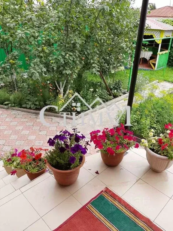Дом в Хакасия, Черногорск ул. Чапаева (150 м) - Фото 1