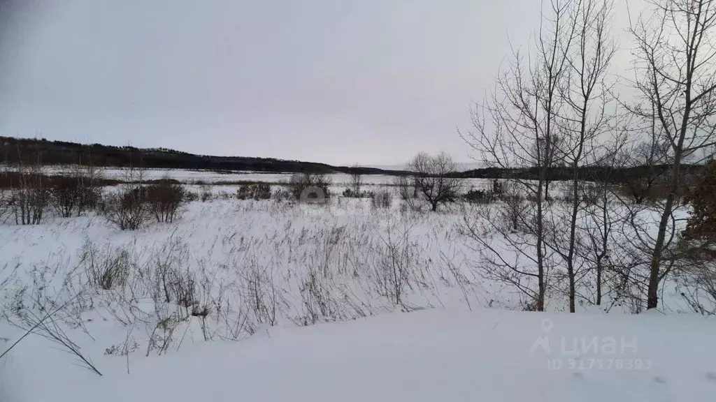 Участок в Амурская область, Благовещенский район, с. Кантон-Коммуна  ... - Фото 0