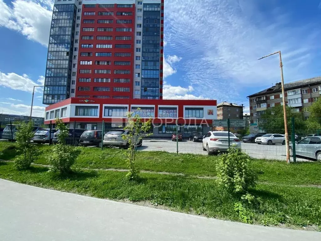 Помещение свободного назначения в Новосибирская область, Новосибирск ... - Фото 1