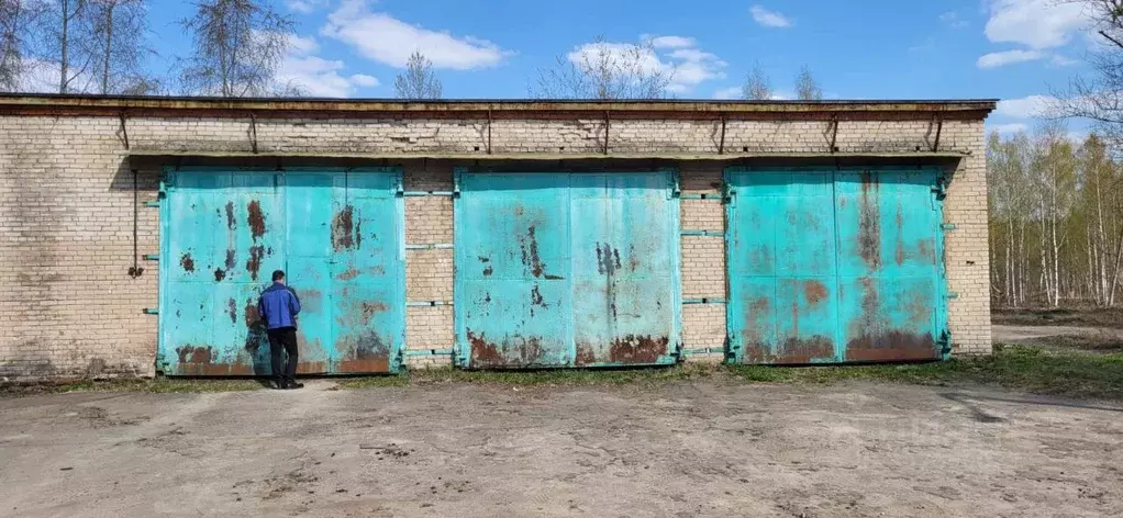 Гараж в Московская область, Богородский городской округ, с. Стромынь, ... - Фото 0