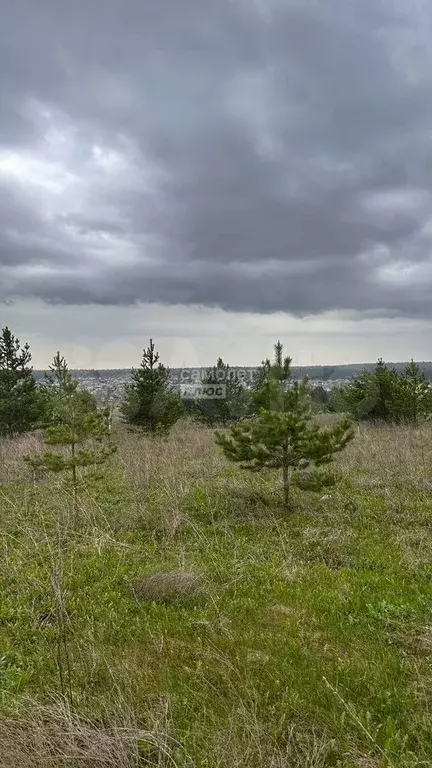 Участок 7 сот. (ИЖС) - Фото 1