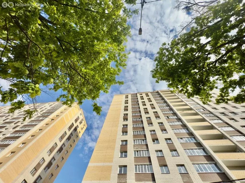 1-комнатная квартира: деревня Крутые Выселки, улица Ю. А. Жоголева, 3 ... - Фото 1