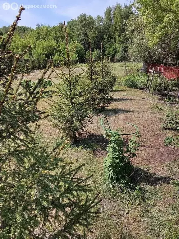 Участок в село Заглядовка, улица Братьев Красавиных (14 м) - Фото 2