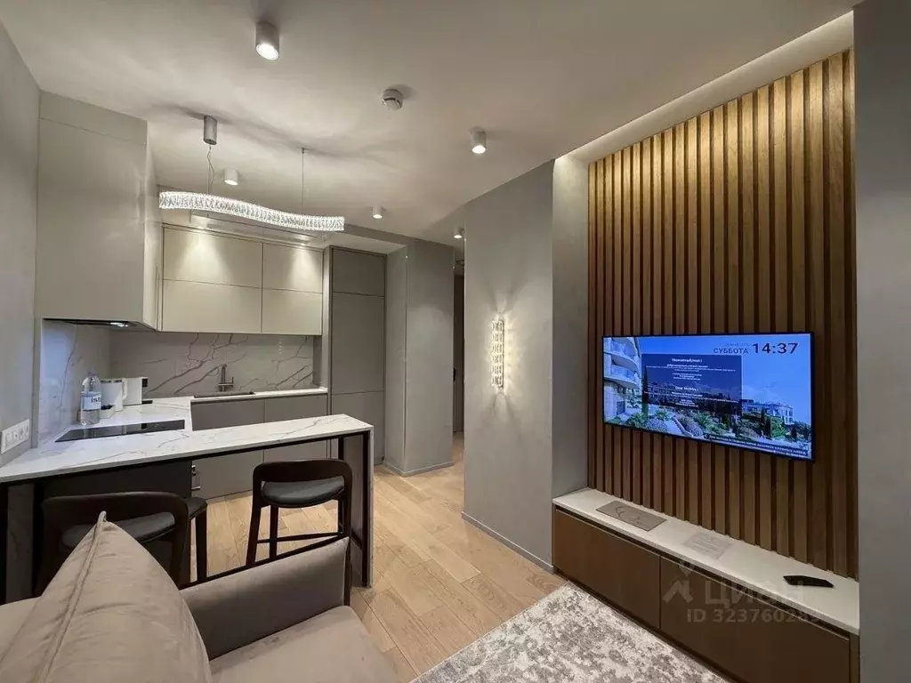 1-к кв. Краснодарский край, Сочи Курортный просп., 31 (50.0 м) - Фото 1