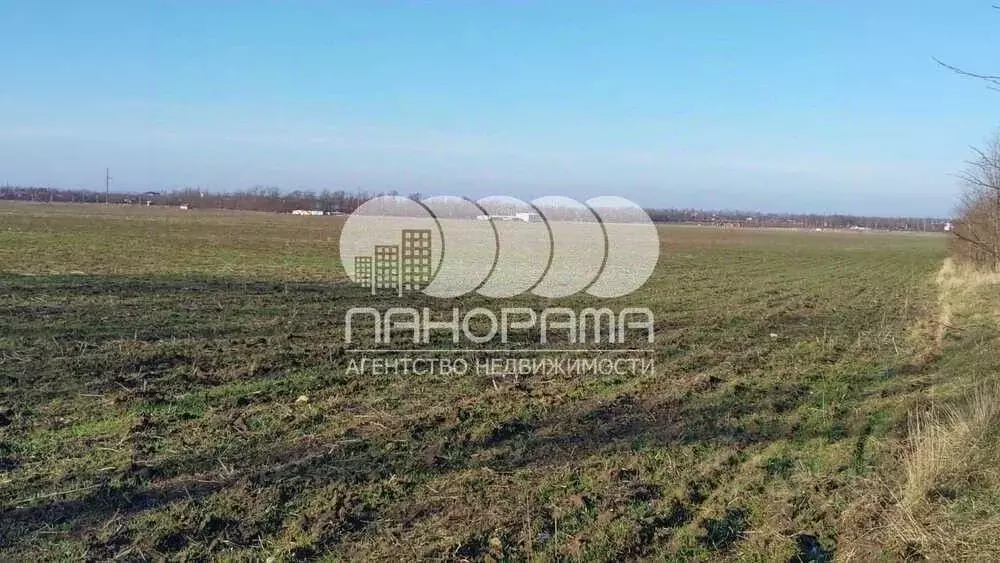 Участок в Краснодарский край, Анапа муниципальный округ, пос. ... - Фото 0
