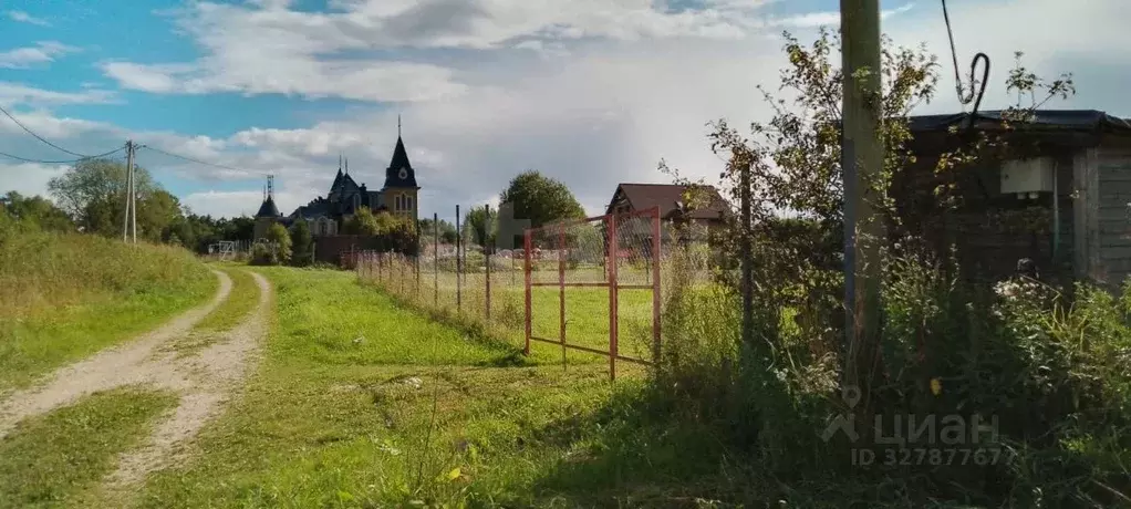 Участок в Ленинградская область, Волосовский район, Клопицкое с/пос, ... - Фото 1