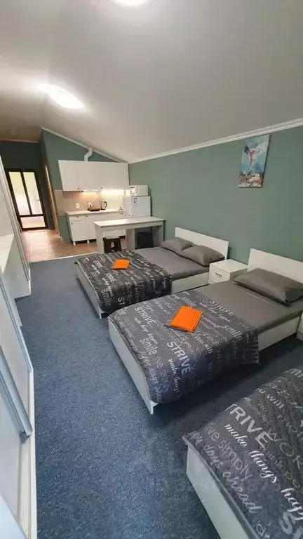 Студия Краснодарский край, Сочи Магнитогорская ул., 21/8 (30.0 м) - Фото 1