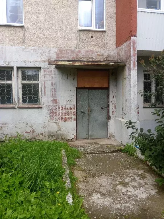 Помещение свободного назначения в Челябинская область, Кыштым ул. ... - Фото 1