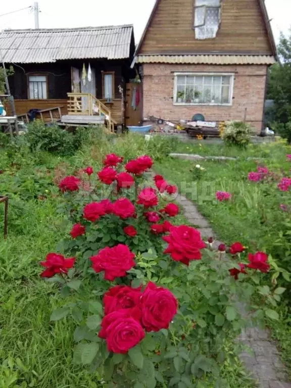 Дом в Новосибирская область, Новосибирск Золотая Горка СНТ, аллея Г ... - Фото 1