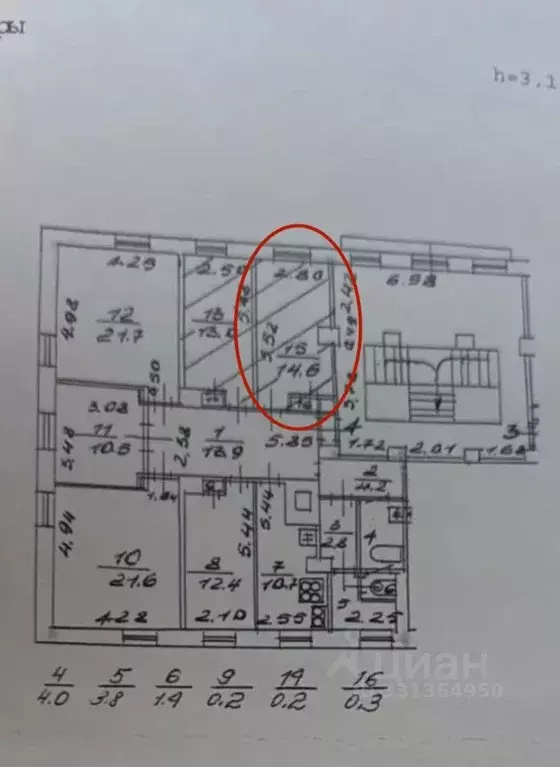 Комната Санкт-Петербург ул. Трефолева, 36к2 (14.6 м) - Фото 1