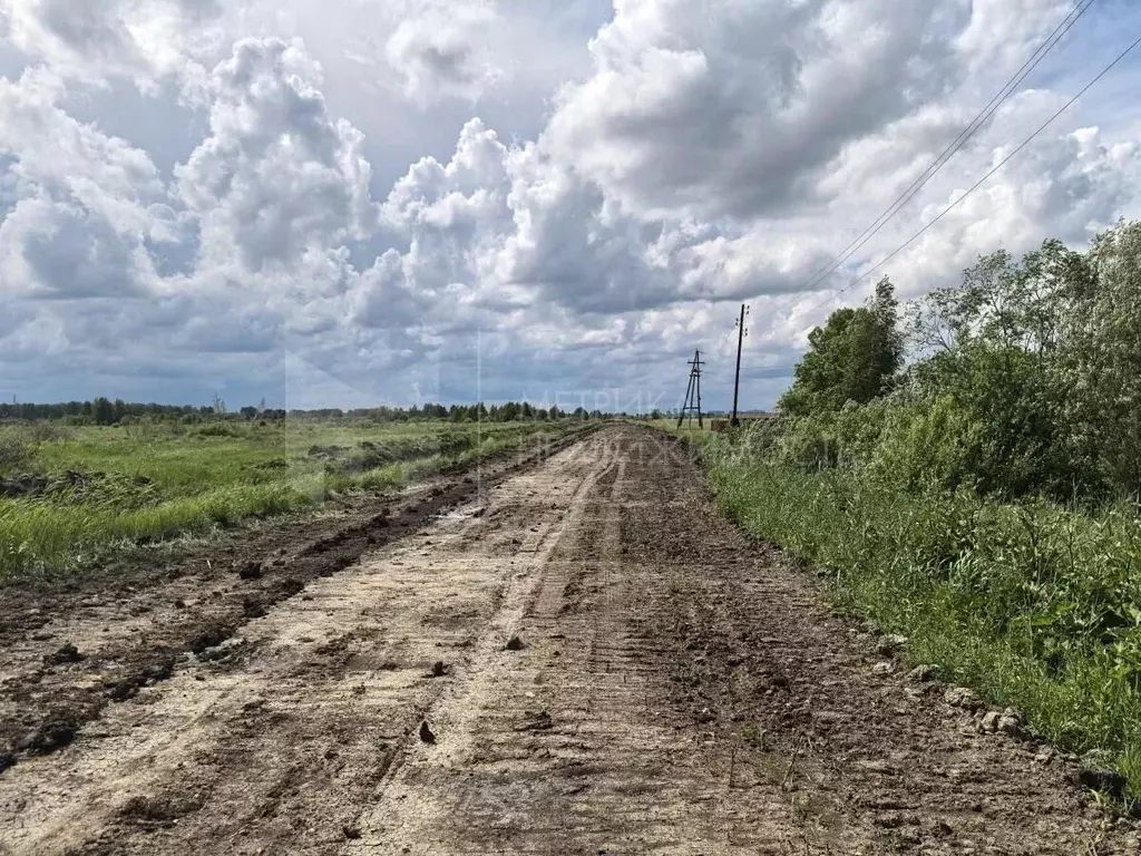 Участок в Тюменская область, Тюмень  (8.0 сот.) - Фото 1