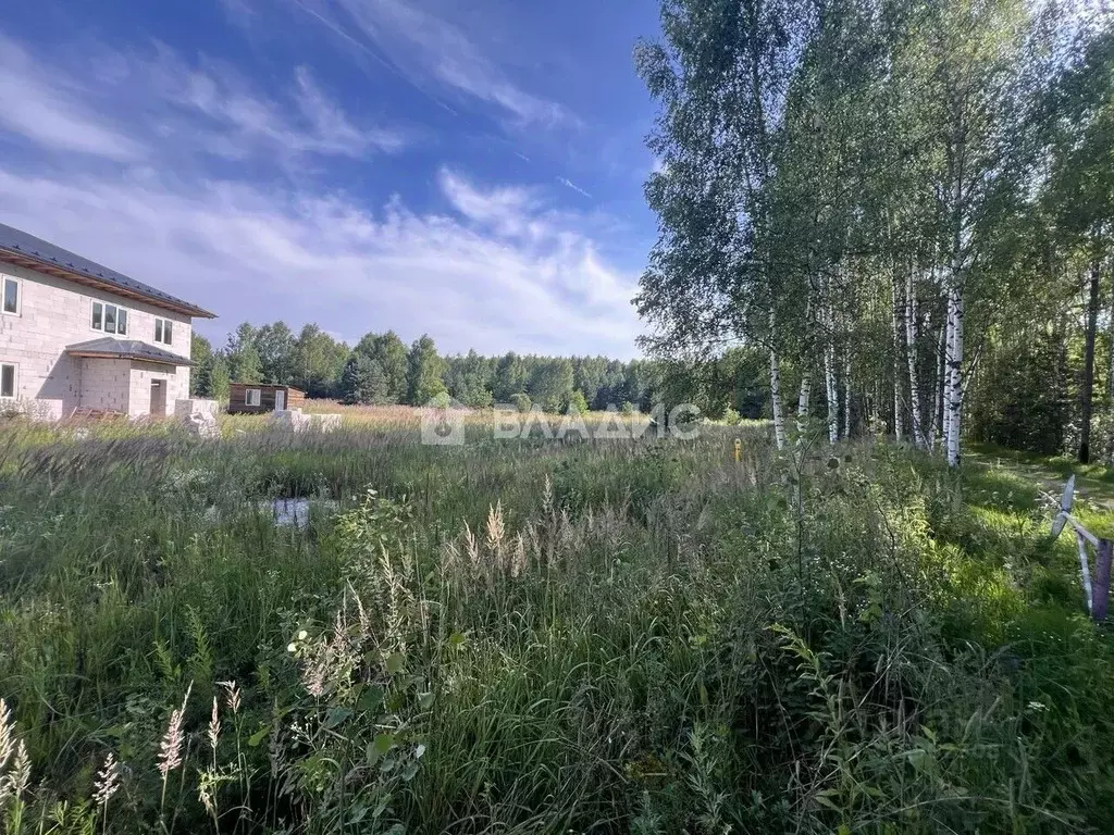 Участок в Владимирская область, Судогодский район, д. Аксеново ул. ... - Фото 2