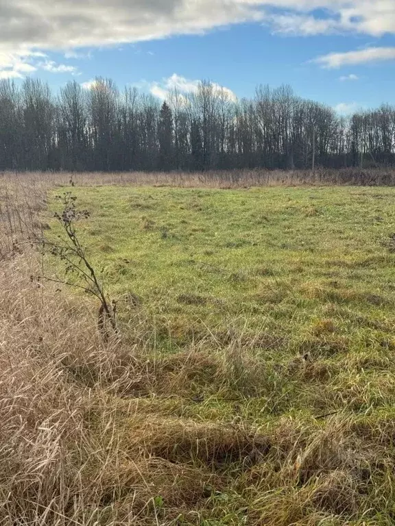 Участок в Ленинградская область, Гатчинский муниципальный округ, д. ... - Фото 2