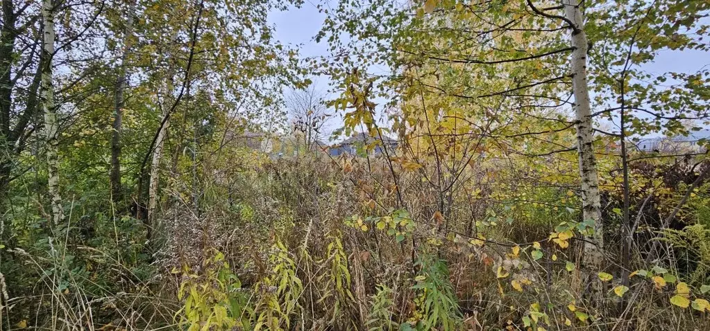 Участок в Московская область, Луховицы  (12.27 сот.) - Фото 2