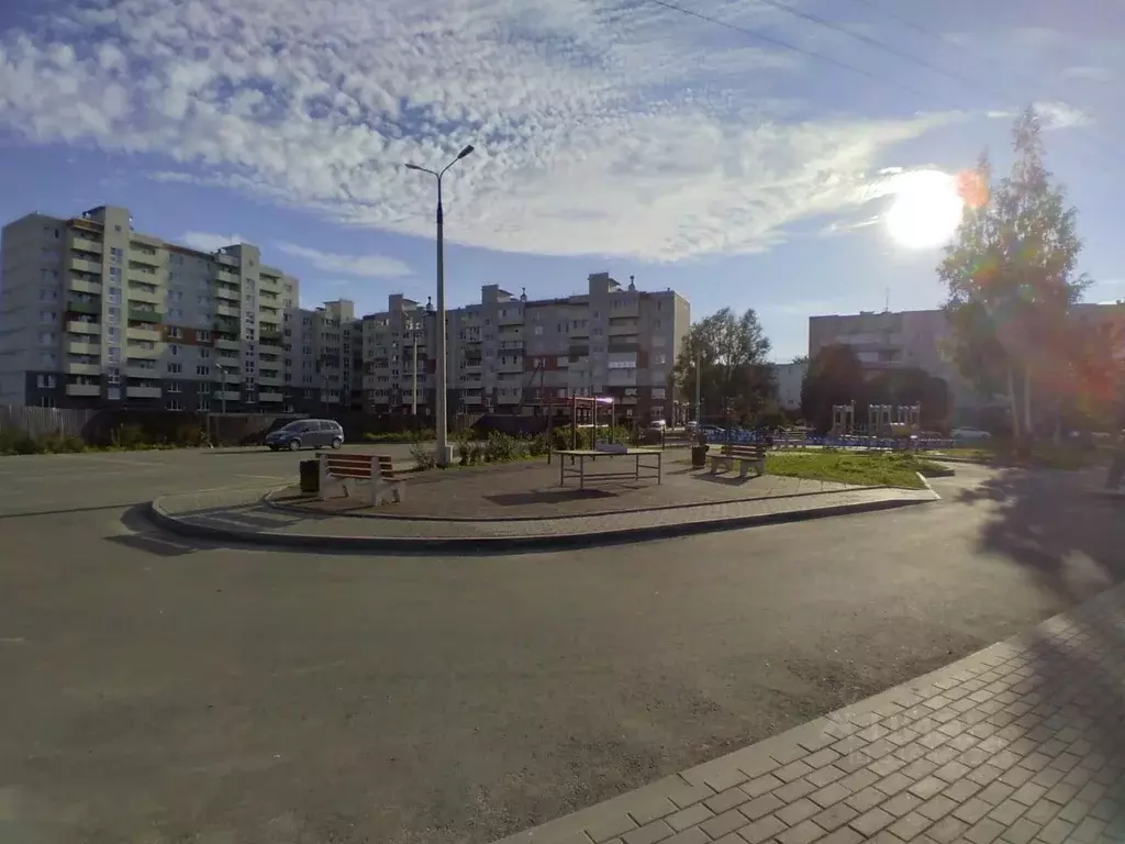 Студия Псковская область, Псков ул. Алексея Алехина, 14 (27.8 м) - Фото 2