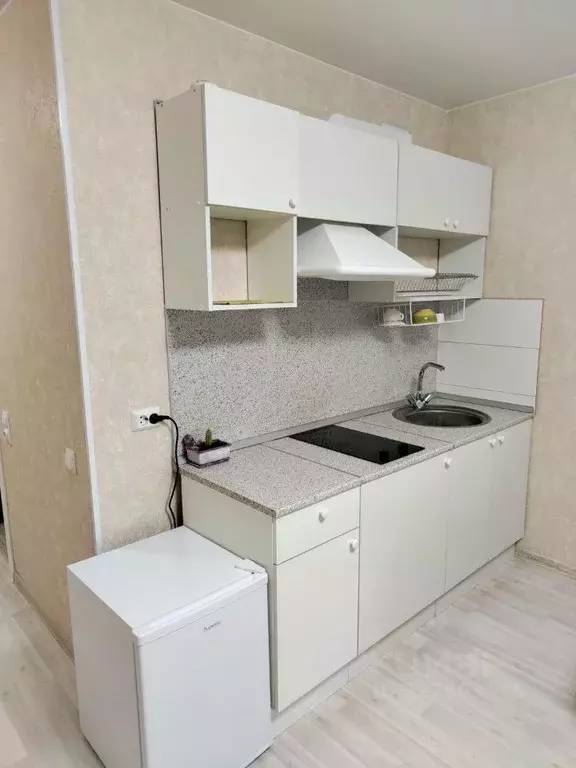 Студия Ленинградская область, Ломоносовский район, Виллозское ... - Фото 1