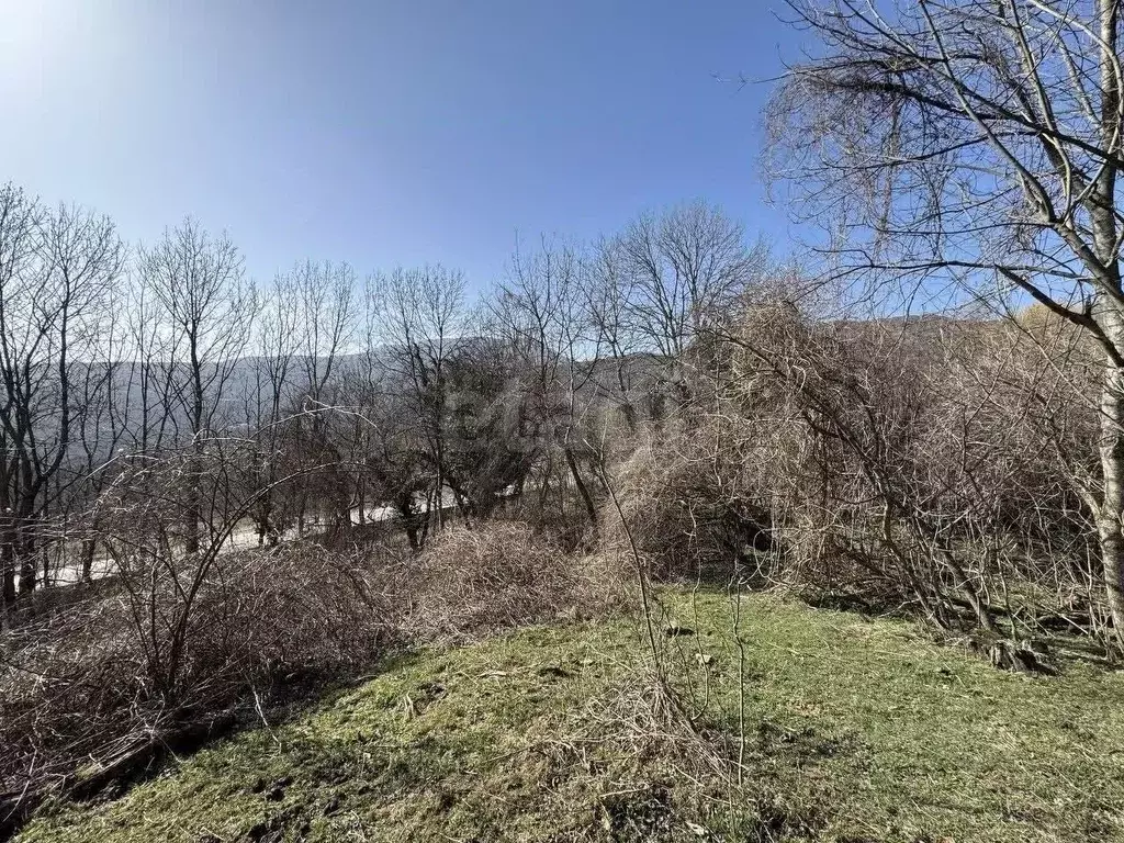 Участок в Крым, Алушта городской округ, с. Лучистое  (176.0 сот.) - Фото 1