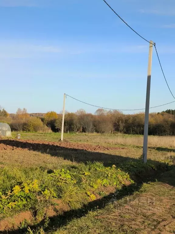 Участок в Кировская область, Кирово-Чепецкий район, Кстининское с/пос, ... - Фото 1