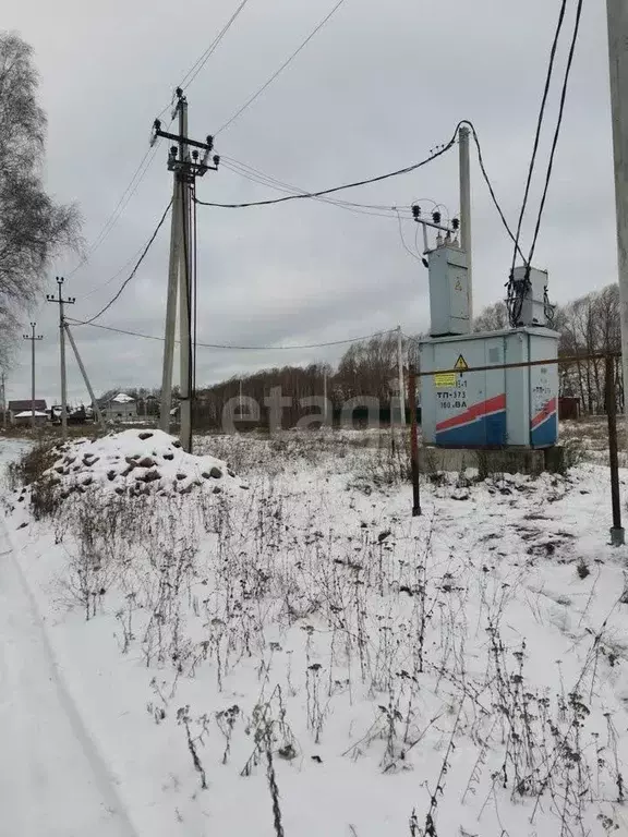 Участок в Новосибирская область, Бердск  (10.0 сот.) - Фото 2