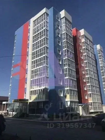 Студия Алтайский край, Барнаул ул. Крупской, 124 (23.0 м) - Фото 1