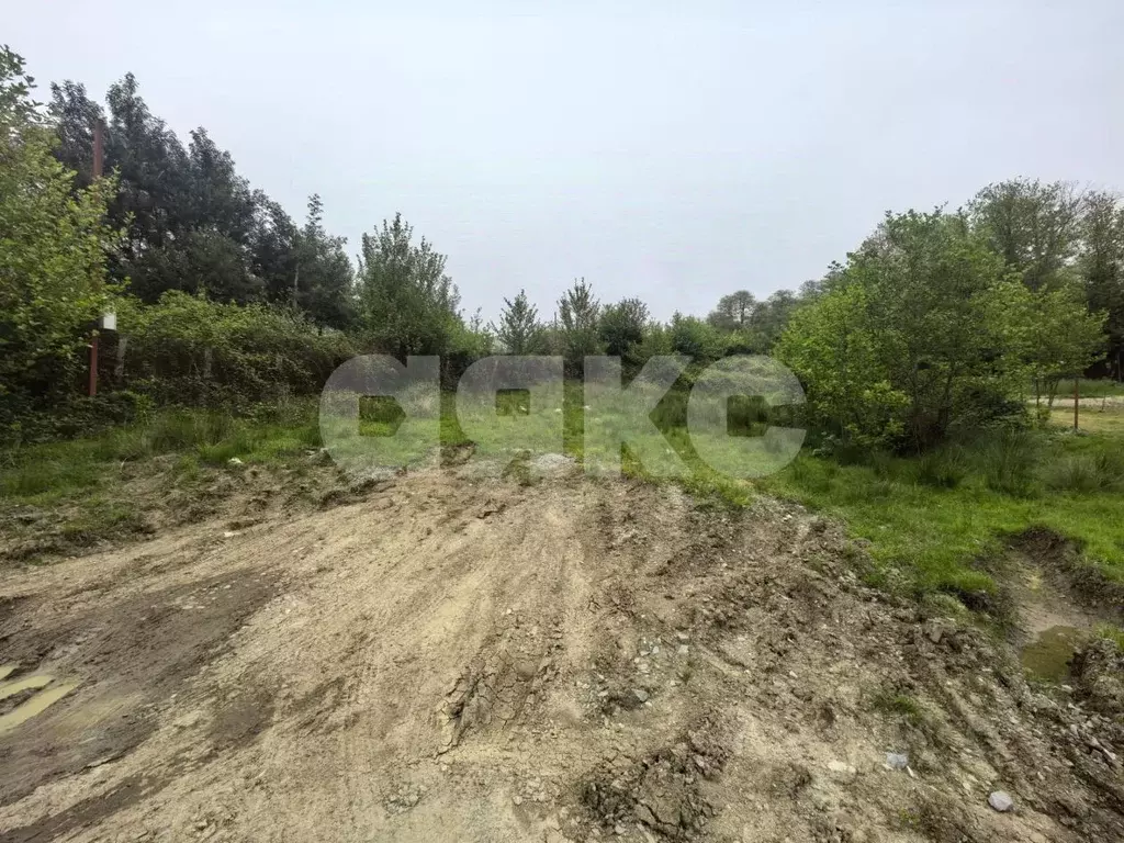 Участок в Краснодарский край, Сочи городской округ, с. Верхнее Буу ул. ... - Фото 0