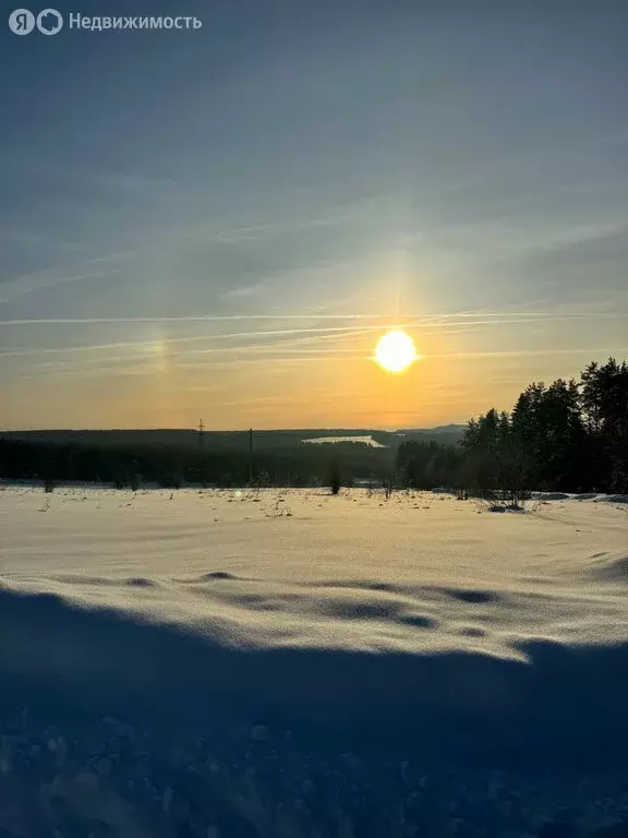 Участок в Пермский край, Соликамский муниципальный округ, посёлок ... - Фото 1