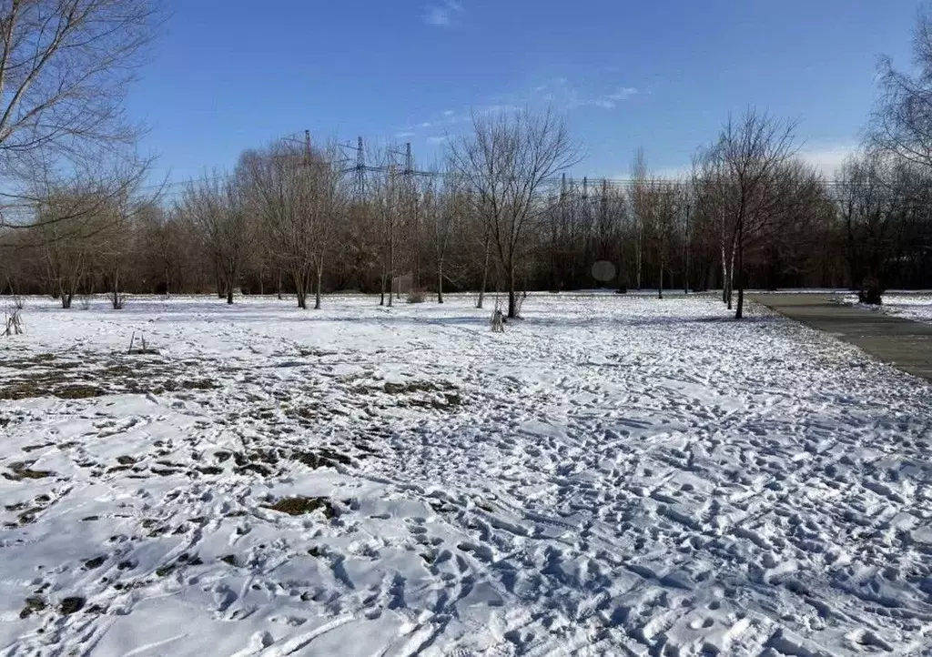 Участок в Тульская область, Тула городской округ, д. Липки  (30.0 ... - Фото 1