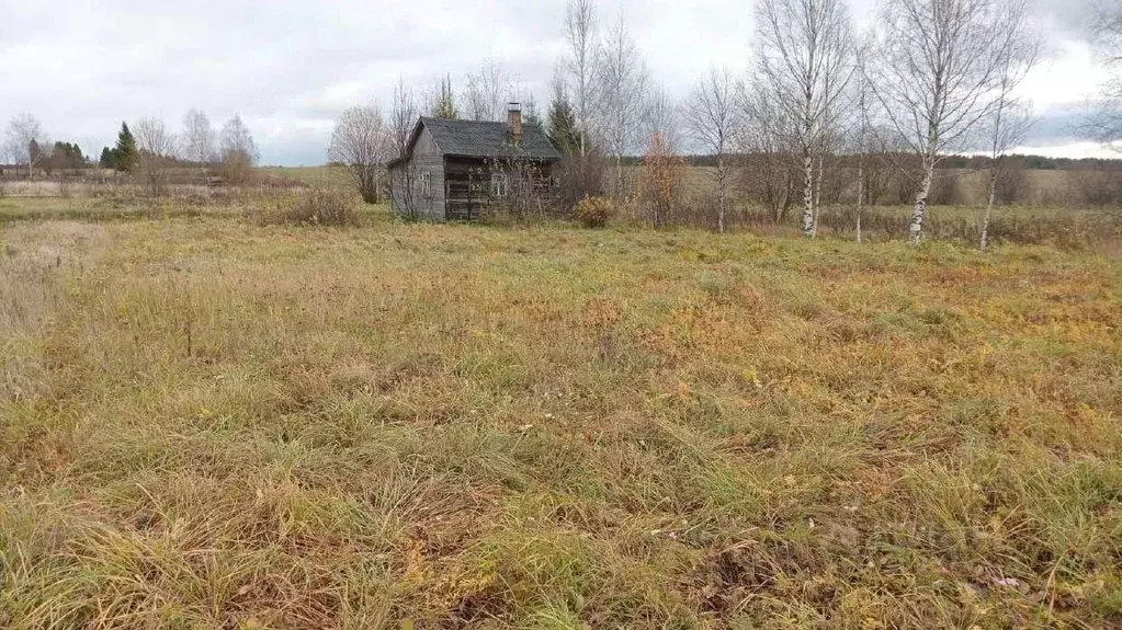 Участок в Кировская область, Киров городской округ, д. Колобовщина  ... - Фото 0