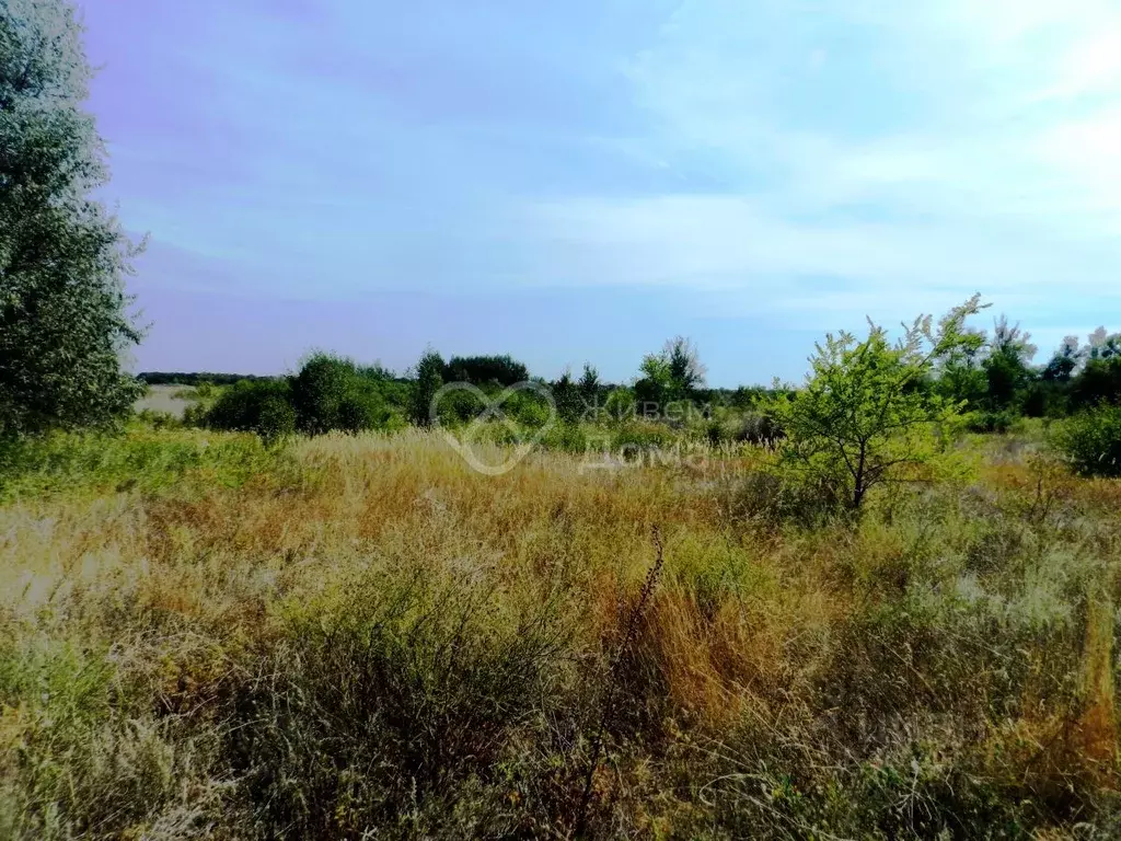 Участок в Волгоградская область, Среднеахтубинский район, Кировское ... - Фото 1