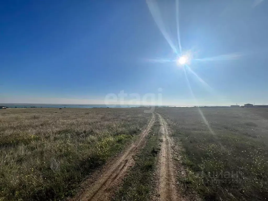 Участок в Крым, Черноморский район, с. Межводное ул. Дружбы (10.0 ... - Фото 0