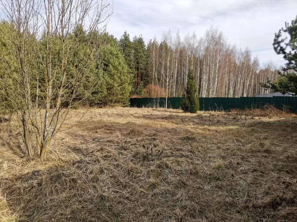 Участок в Московская область, Орехово-Зуевский городской округ, д. ... - Фото 1