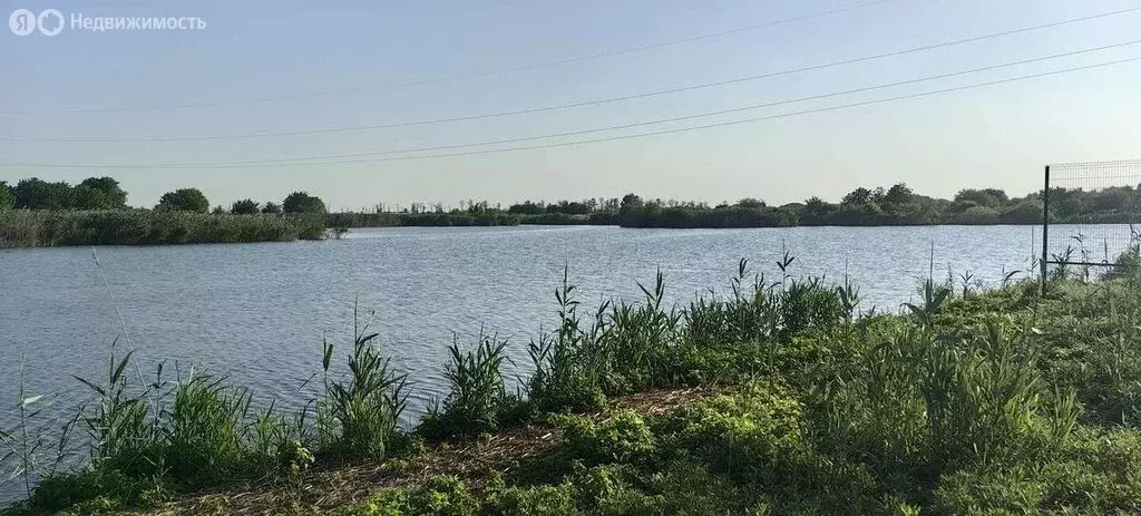 Участок в Новотитаровское сельское поселение, хутор Осечки, дачное ... - Фото 1